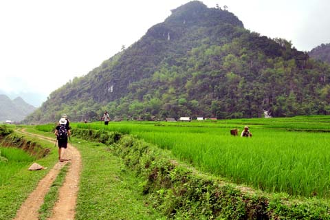 La réserve naturelle de Pu Luong - Tourisme équitable et Randonnée