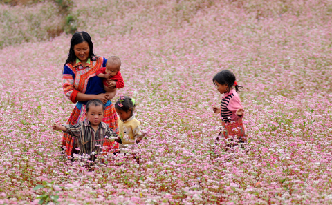 18 Jours - Découverte des Ethnies du Nord, Vietnam 