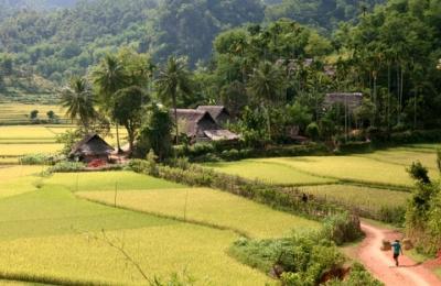 Voyage au Vietnam avec Ethnic Voyage: Mai Chau et la réserve de Pu Luong