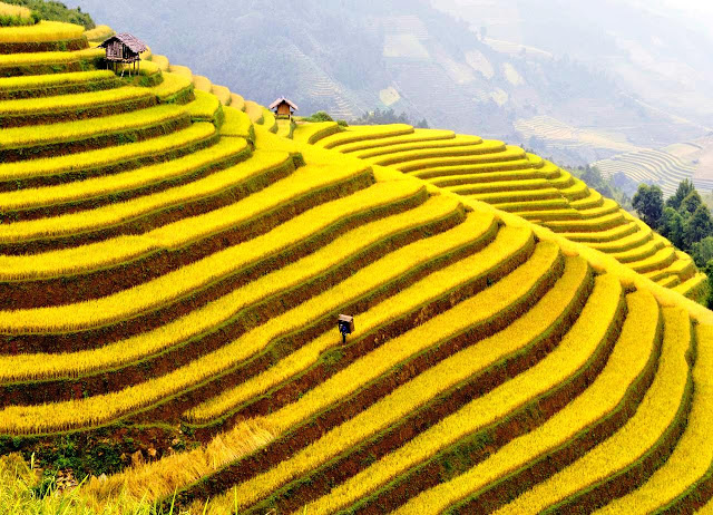 The Heart-Stopping Beauty of The Mu Cang Chai District in Vietnam