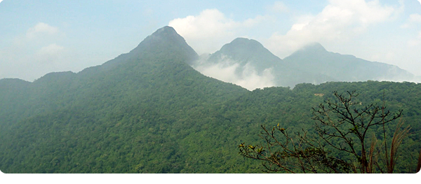 Tam Dao national park