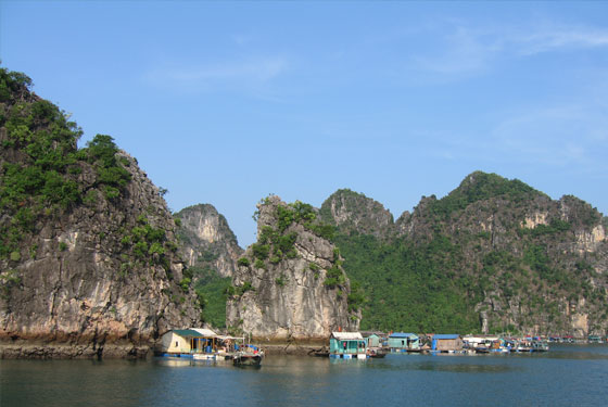 01 Day - Private Cruise Like No Other Halong Bay and Lan Ha Bay