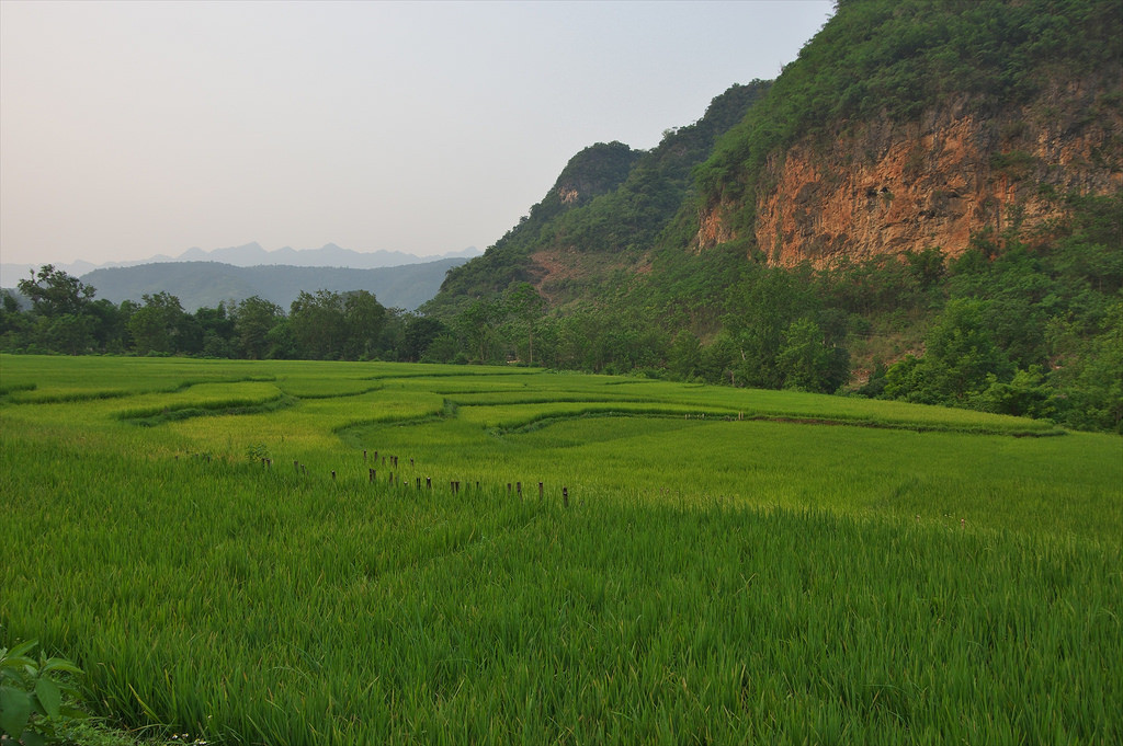 04 Jours - La vallée de Mai Chau, Mai Hich et le parc naturel de Pu Luong